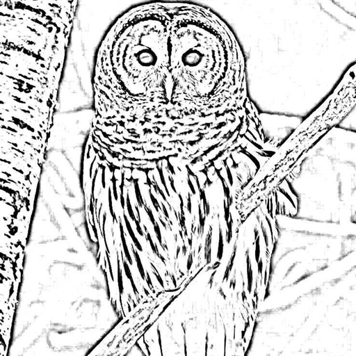 bard-owl:michigander514:moments–and–memories:@bard-owl