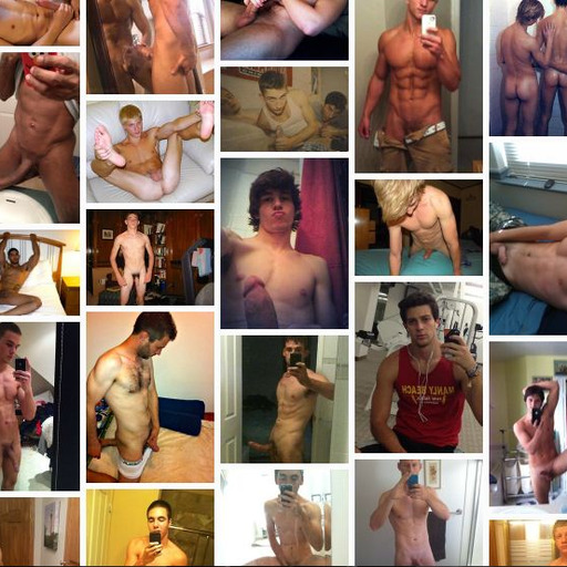 Reblog if you're gay.