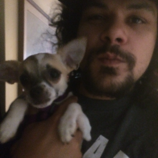 juanki69:  All I want, all I want, all I really really want is