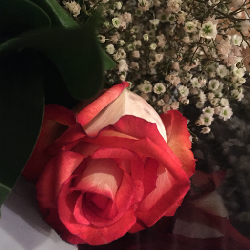 cosmic-cyclosa:  ylwkirby:  What’s it like being 21 and older
