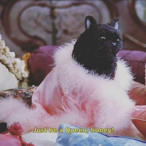 thatgirlinthegrandpasweater:  It’s been a rough couple of days