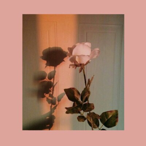 Want U back > Taken
