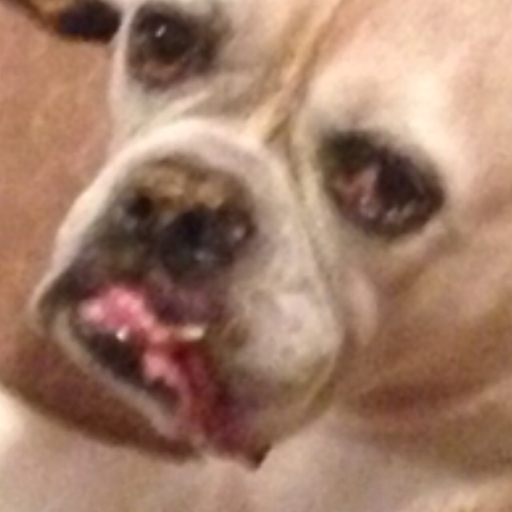 imsoshive:  Mom: Why this chicken still frozen?! Me: Huh?   @sft425
