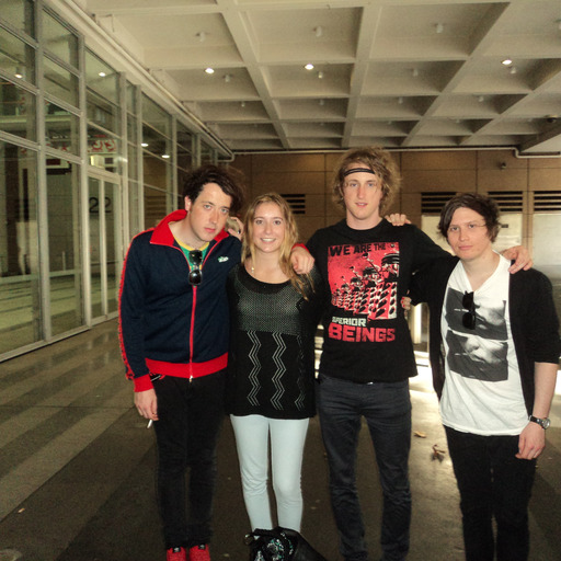 The Wombats