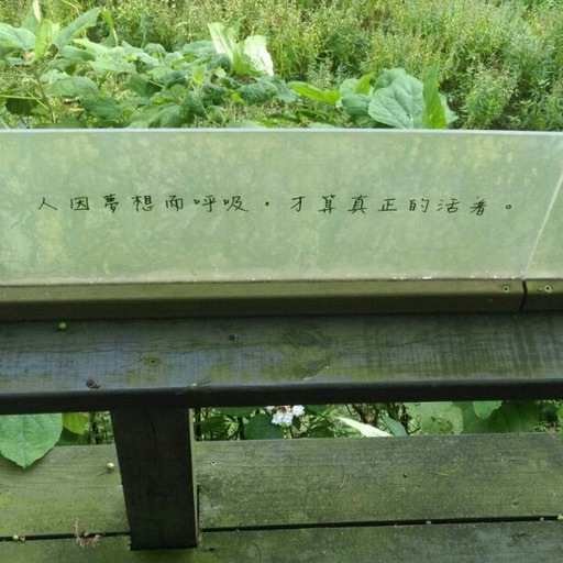 sillypeacegalaxy:  可愛屌又大❤️