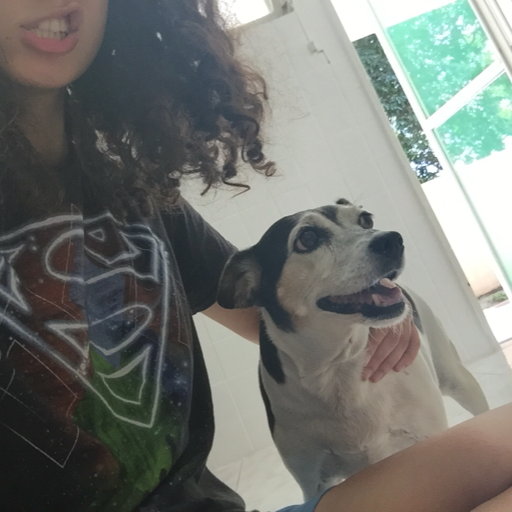 Rindo em: