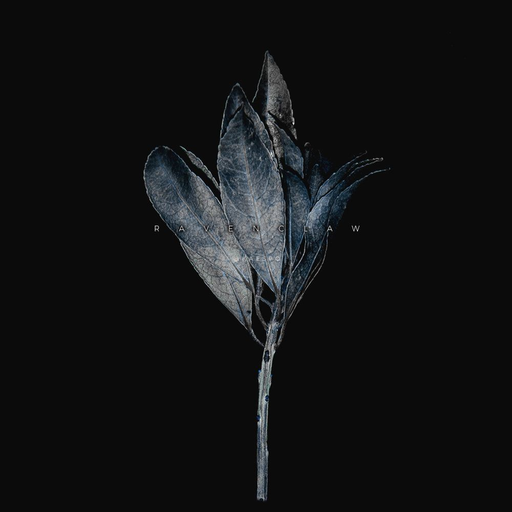 Lightless.