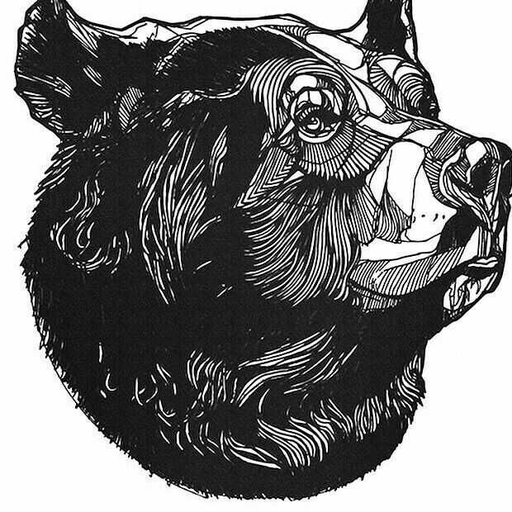 frases-del-oso:  Si no encuentras sábanas para cubrirte, te