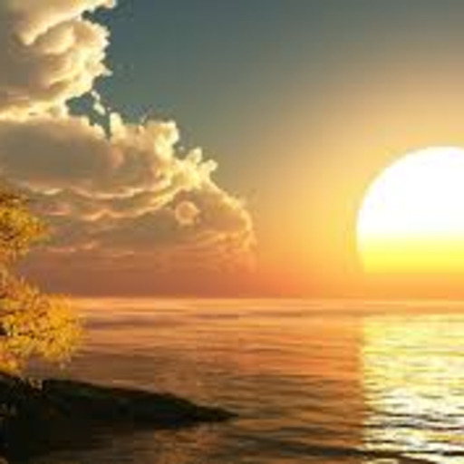 Our Amazing World