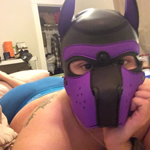 selfengineeredpuppy:  @puphandl3r left his laundry basket in