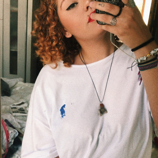 voe com suas proprias asas 🌻