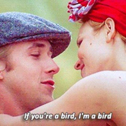 If you're a bird, I'm a bird