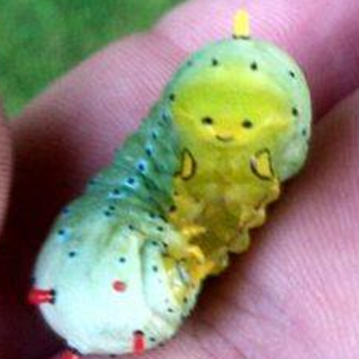 nightmareloki:  joala:  joala:  a ladybug playing with sprinkles!!!!  more ppl should see this  BABU 