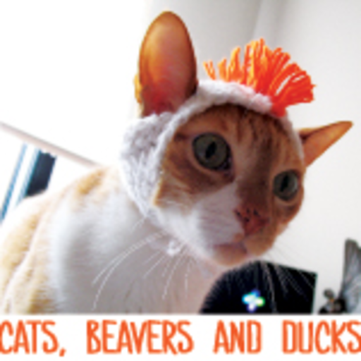 catsbeaversandducks:   Catnip is a helluva drug…Video by Sandra