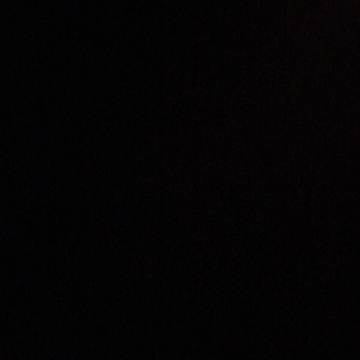 kngshxt:  best vine of 2015