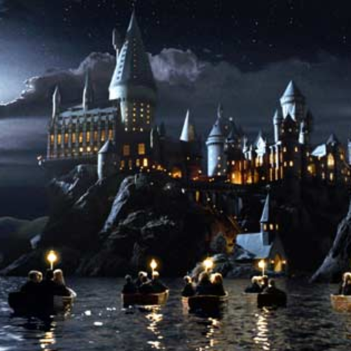 magic-of-hogwarts:  Every 90s kid & Harry Potter fan STOP