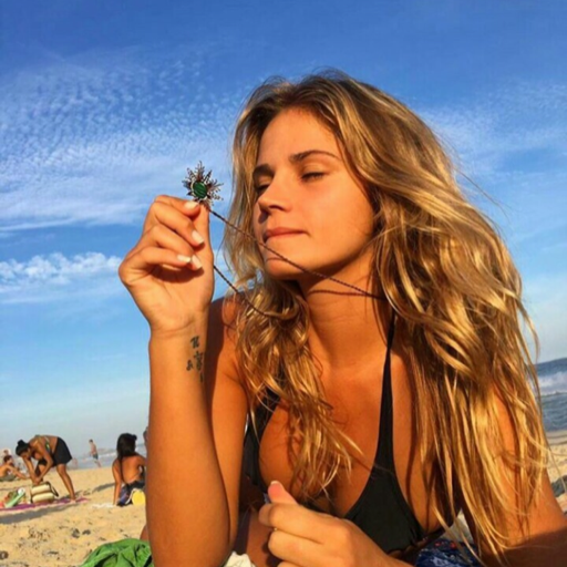 Uma chupada bem dada resolveria meus problemas