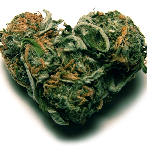 You Know You're A Stoner When...