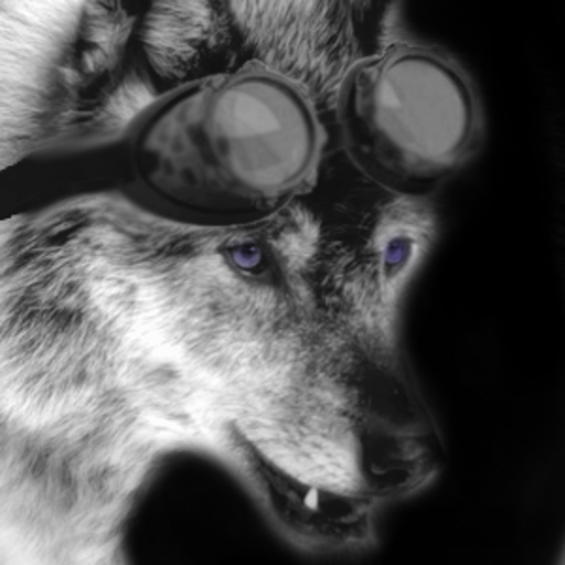 defectivevorta: robbierottenhateblog:  wheatlev:   keskronwolf: