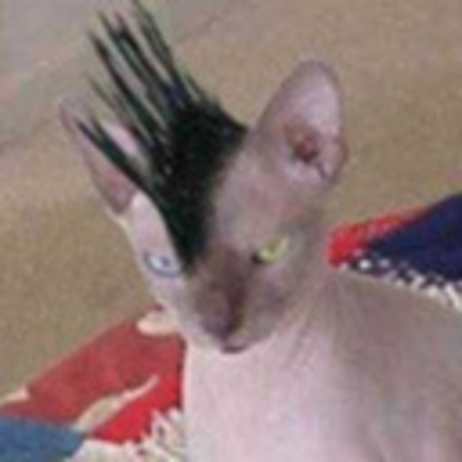Sofro de SRC: Sindrome do Reblog Compulsivo.