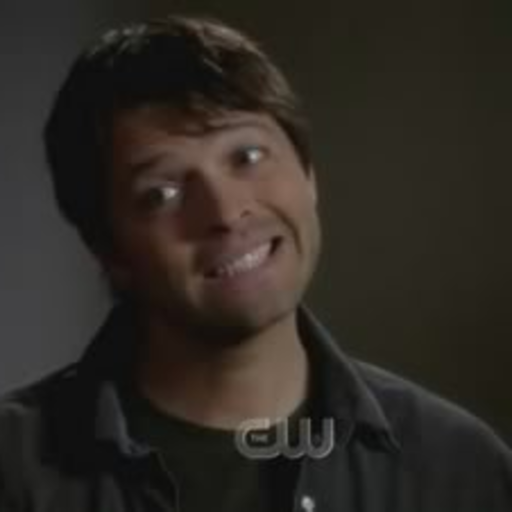 iamaspecialgoddamnsnowflake:  I love how the only things on my