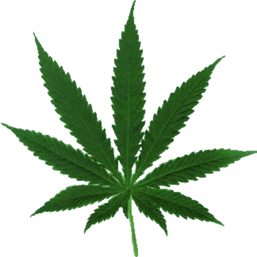 Boners For Stoners: 420 Stoner Giveaway!