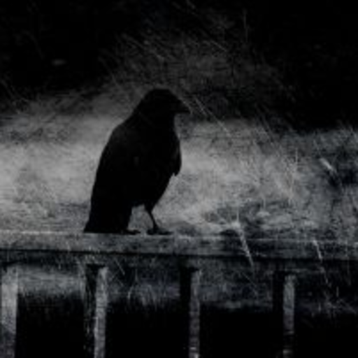 lepassager noir