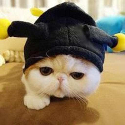 livefuli: 这里不能发布成人内容，各位老铁看到后请关注推特：https://twitter.com/livefuli
