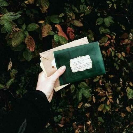 slytherinandhufflepuff:  Hufflepuff: I cried todaySlytherin: