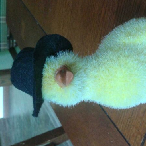 I'm Really A Duck