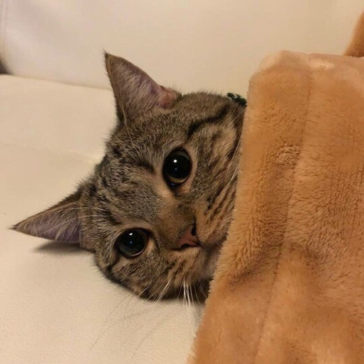 Si me estas leyendo, te extraño. No importa a que hora o día