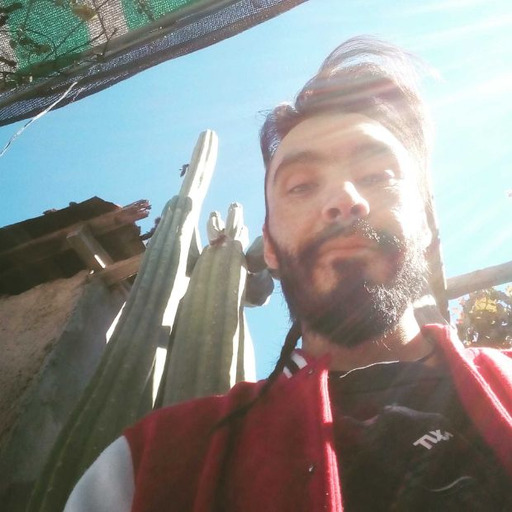 Juglar sin Sombra