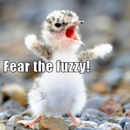 fearthefuzzy:  (via barehands w/credits - YouTube) 