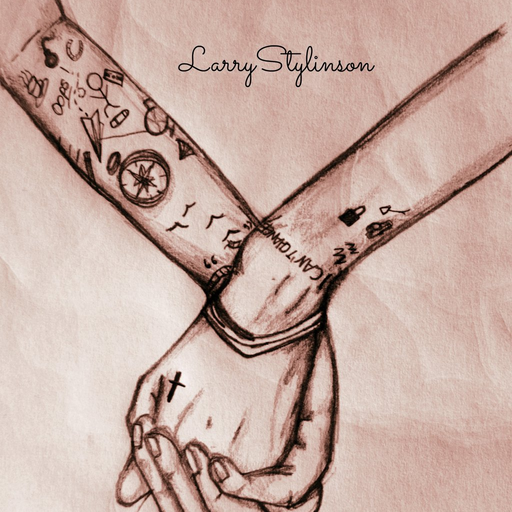 lovelyfool19:  #larrystylinson #onedirection #harrystyles #louistomlinson