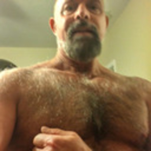 hairytreasurechests:  If you also like hairy and older men who