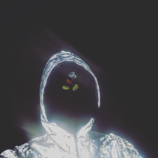L33KS