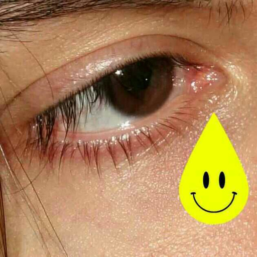 elvjh