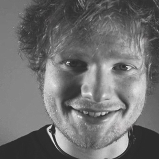 edsheeran:BUT GUYS LOOK AT THIS LITTLE CUTIE THING LISTEN TO