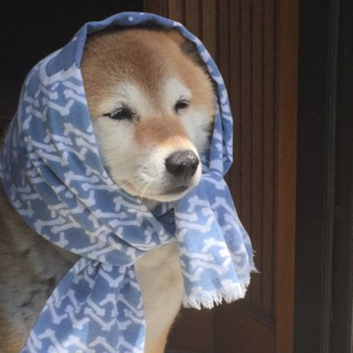 cosmofloof:*sobs profusely at the butt wiggles*