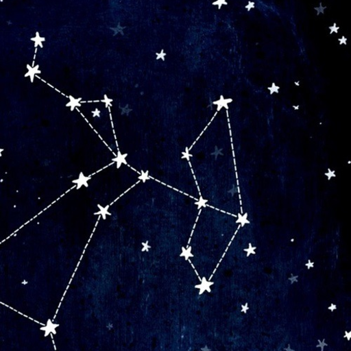 a-wandering-poet: the signs as a classic adventuring party  