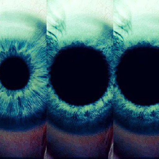 perpetuallackofsleep:  not sleeping is funbattling intense anxiety