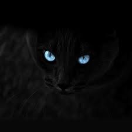 Libra- The Awesome one