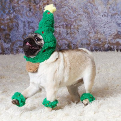 WHEN I'M ALREADY TOO EXCITED FOR CHRISTMAS