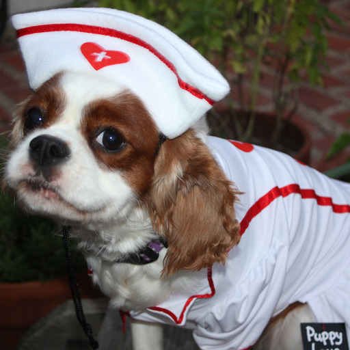 spazzeon:  clefairydance:  every time someone says the word “spoopy”
