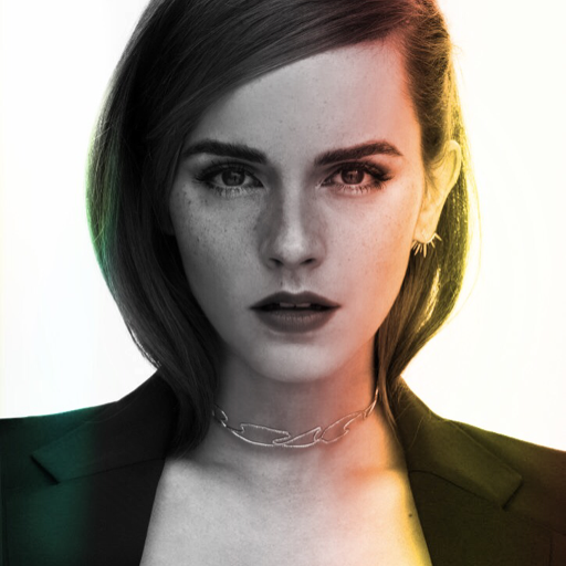 hpcast:  Emma Watson all smiles and inspired at Elle 19th Annual