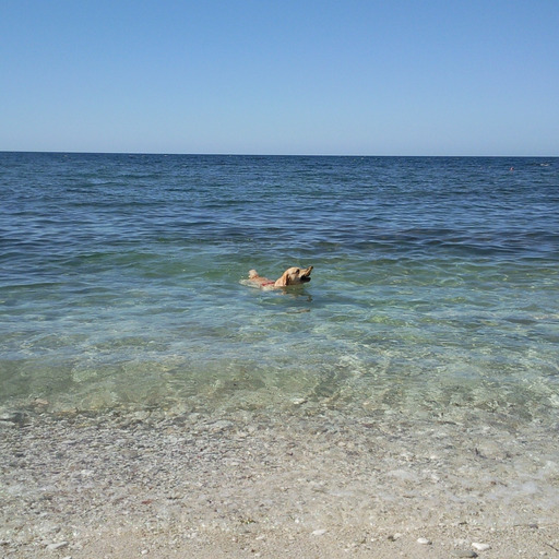 Il tuo respiro su di me