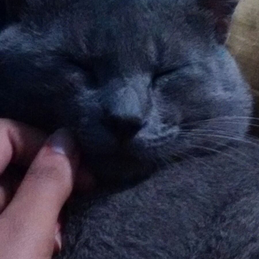 Faz da tua alma teu própio jardim!