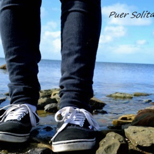 Puer Solitarius