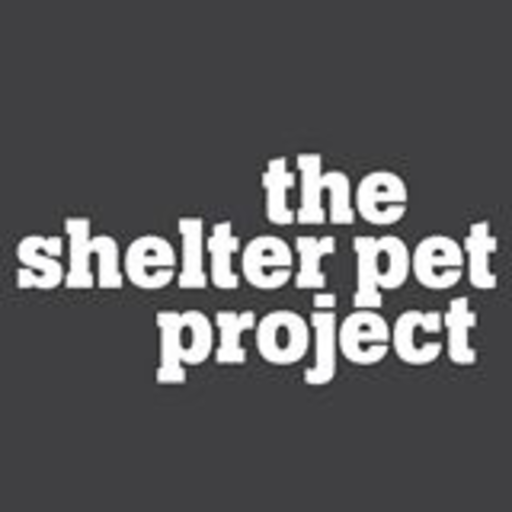 shelterpetproject:Has there ever been such an adorable and cuddly