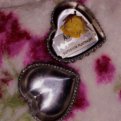 messyheartsuggestions: I never knew love could feel this wonderful